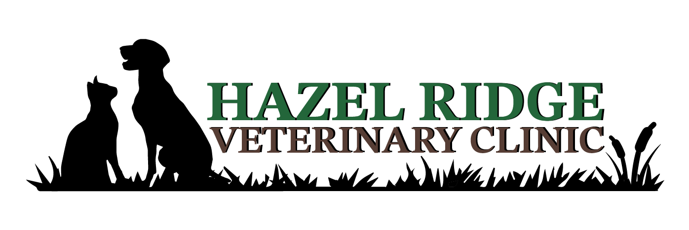 Link to Homepage of Hazel Ridge Veterinary Clinic
